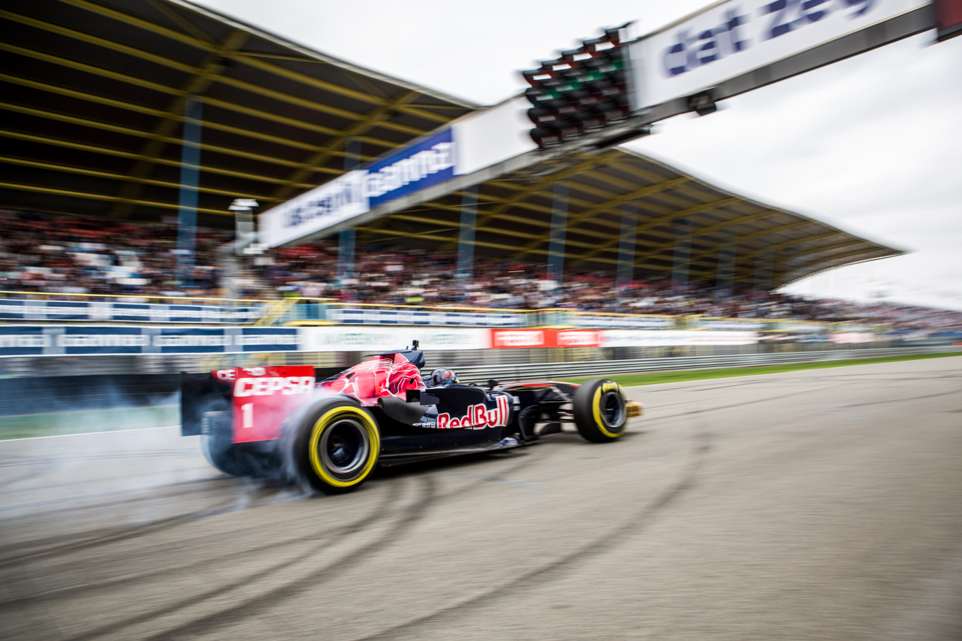 Ingo Gerstl (Toro Rosso STR1)