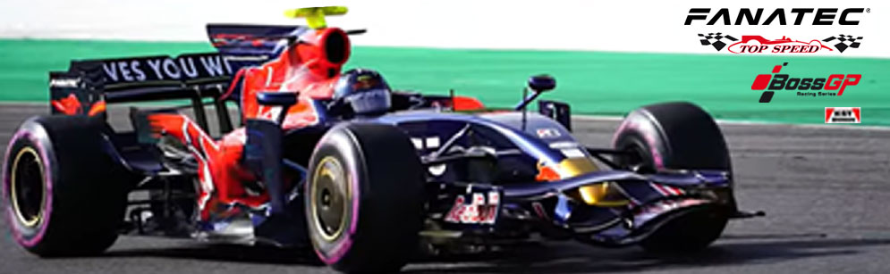 Toro Rosso STR3 - F1